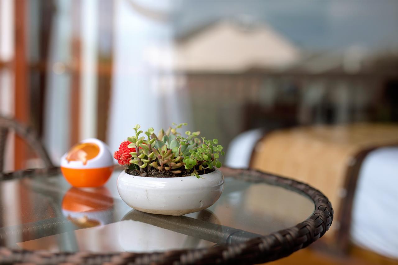 Hoi An VI Khoa Villa Dış mekan fotoğraf